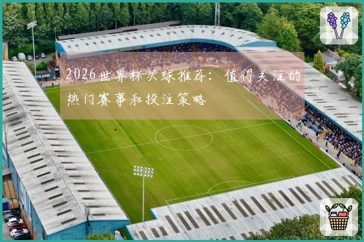 2026世界杯买球推荐：值得关注的热门赛事和投注策略