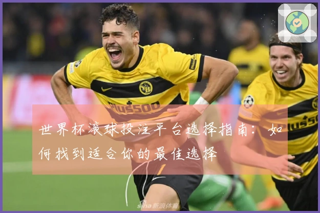 世界杯滚球投注平台选择指南：如何找到适合你的最佳选择